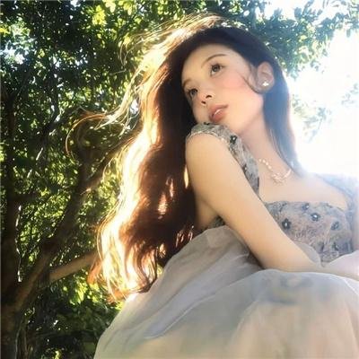 冒牌总统